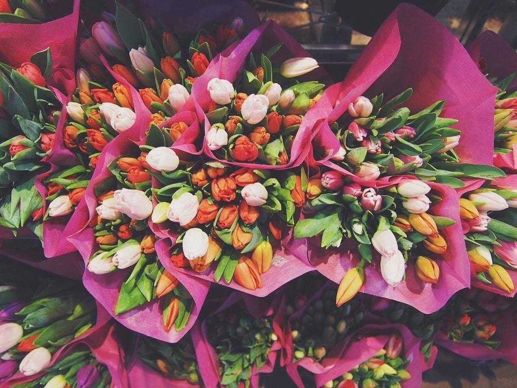 Quelles fleurs offrir pour déclarer ses sentiments ?